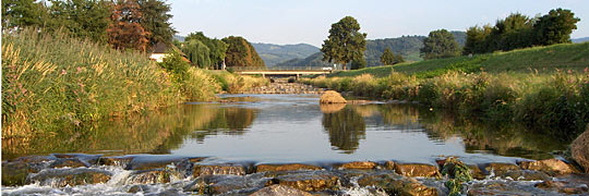 Rench bei Oberkirch