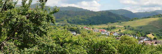 Gleich östlich von Bühl-Altschweier erstreckt sich das Bülertal am Schwarzwald