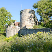 Burgruine Ebersberg in der Gemeinde Auenwald