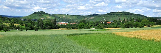 auch das ist Metzingen - Weinberge, Felder, Streuobstwiesen