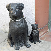 Rottweiler an der Eisenkette? Tiere sind keine Sache!
