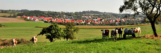 nichts zu sehen von der Deponie in Waldbach...