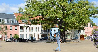 weiträumiger Marktplatz von Werder (Havel)