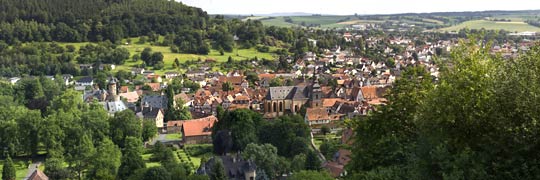 Büdingen Panorama © blumart