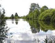 viel unberührte Natur am See in Sültstorf