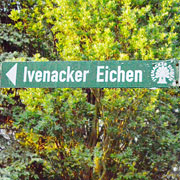 Wegweiser zum Eichenwald