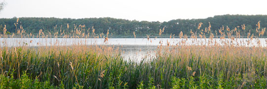 ruhige Abendstimmung am Ivenacker See