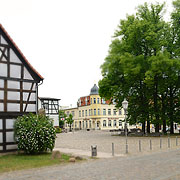 Bäume am Markt von Wesenberg
