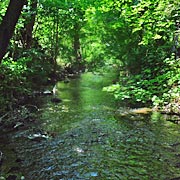 am Wallensteingraben bei Dorf Mecklenburg