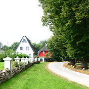 Reetdach-Siedlung Am Park in Groß Schwansee