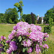 Schloss im Schlossparrk Wiligrad