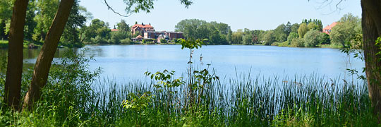 Schönberg, am Oberteich, einem von mehreren im Stadtgebiet