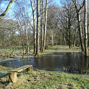 Drispether Moor, Gemeinde Zickhusen