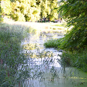 Neubukow 