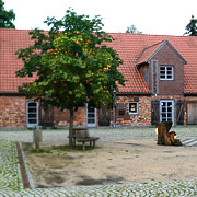 Blick in die Blaubeerscheune