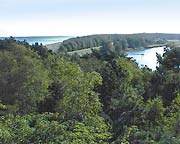 Aussicht von der Hohen Düne gen Zingst