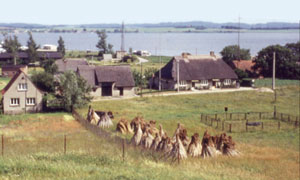 an der Hagenschen Wiek