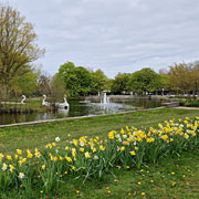 im Kurpark Cuxhaven