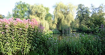 naturell am Mühlenteich von Syke