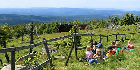 Brockenwanderung © Elisabeth Rawald