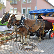 Schneverdingen Kutschen-Parkplatz