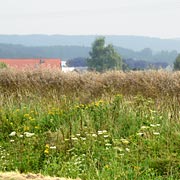 weiter Blick in über Felder und Wälder des Wiehengebierges