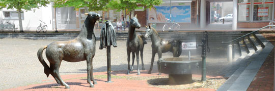 Pferde an der Tränke am Pferdemarkt von Rotenburg