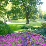 Blick ind den Zevener Stadtpark