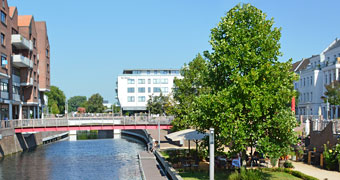 Kleve