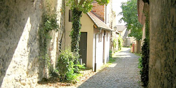 Freinsheim, Stadtmauer