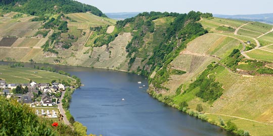 Piesport an der Mosel © beatuerk