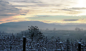 Vogelblick zum Kandel, E. Kopp