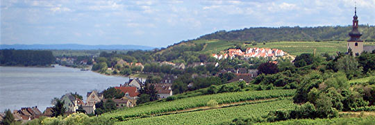 Nierstein