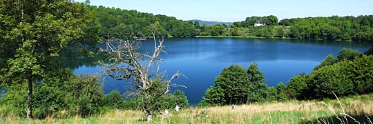Daun Weinfelder Maar © beatuerk