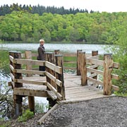 Holzmaar in der Eifel