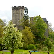 die Pelmer Kesselburg am Adler- und Wolfspark Kasselburg