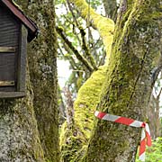 wild und doch gebändigt - die Eifel