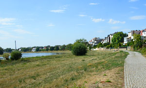 Elbweg von Voswig (Anhalt)