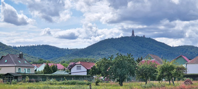 Blick zum Kyffhäuser