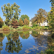 Schkopau Schwarzeiche