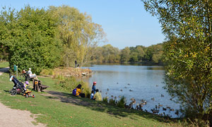 Mühlenteich der Stadt Glinde
