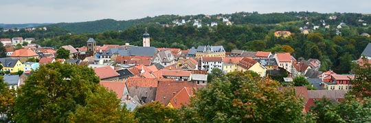 Blick vom Schloss auf die Stadt Weida